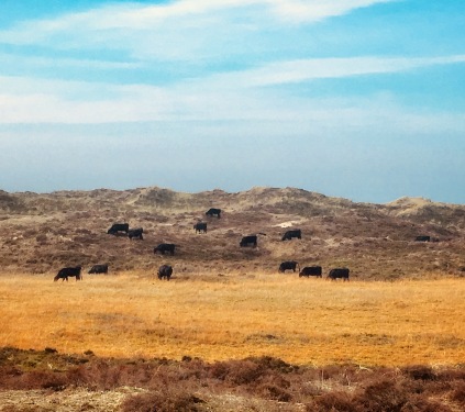 Iben Holm Kongsbak, kunstfoto, fotografi, Kunstrunden Sydvestjylland, påsken 2019