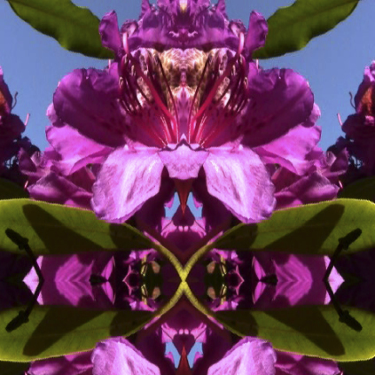 Kirsten Skov Bjerre, videoinstallation, Kunstrunden Sydvestjylland, påsken 2019